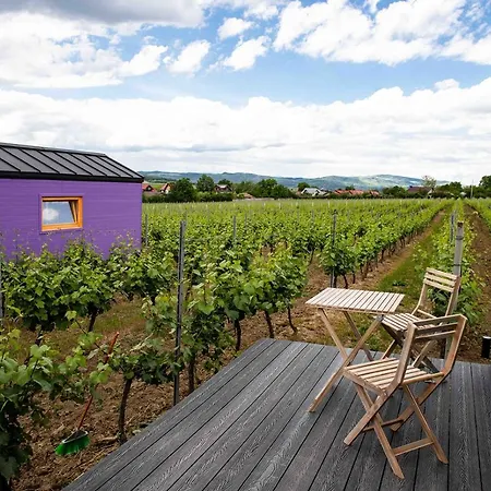 Tiny House In The Vineyard By Gramofon Wine * Iordachianu