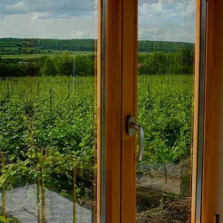 Guest house Tiny House In The Vineyard By Gramofon Wine
