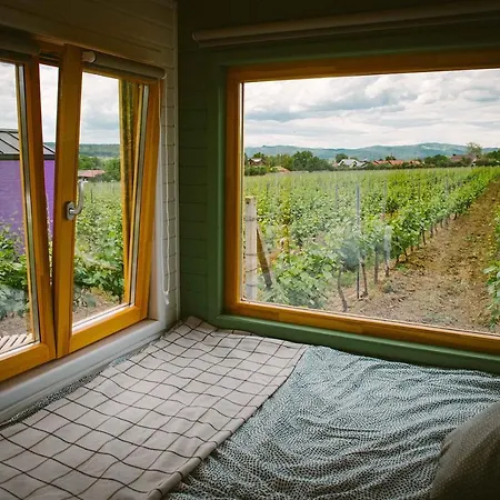 Tiny House In The Vineyard By Gramofon Wine Guest house Iordachianu