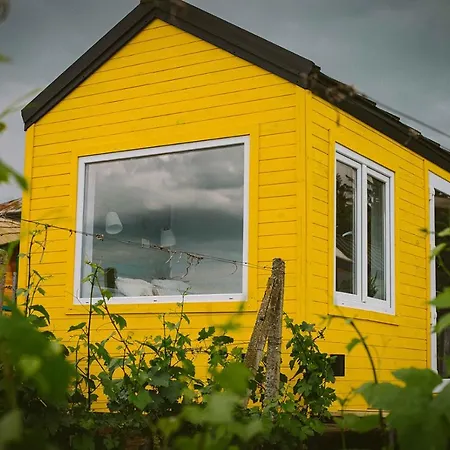 Tiny House In The Vineyard By Gramofon Wine * Iordachianu