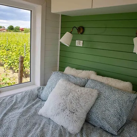 Tiny House In The Vineyard By Gramofon Wine Guest house