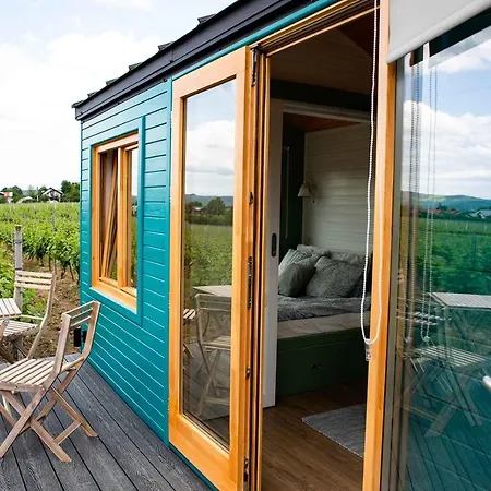 Guest house Tiny House In The Vineyard By Gramofon Wine Iordachianu
