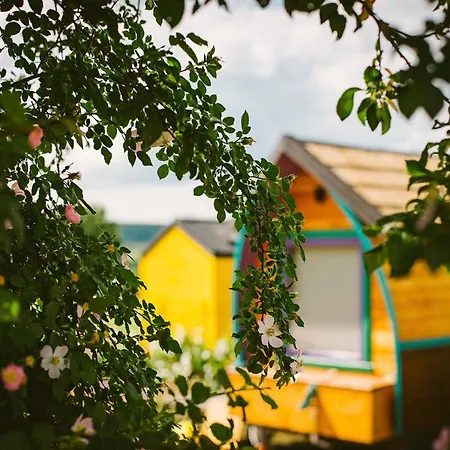 Tiny House In The Vineyard By Gramofon Wine Iordachianu