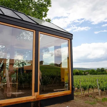 Guest house Tiny House In The Vineyard By Gramofon Wine *