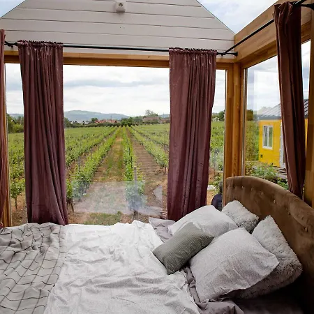 Tiny House In The Vineyard By Gramofon Wine