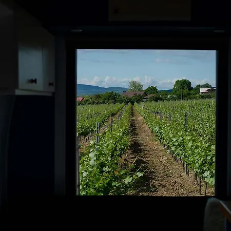 Guest house Tiny House In The Vineyard By Gramofon Wine