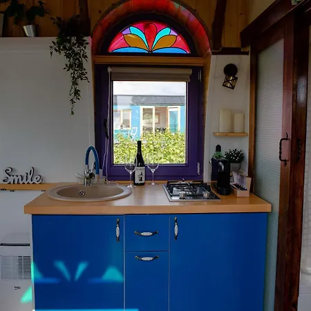 Guest house Tiny House In The Vineyard By Gramofon Wine Iordachianu