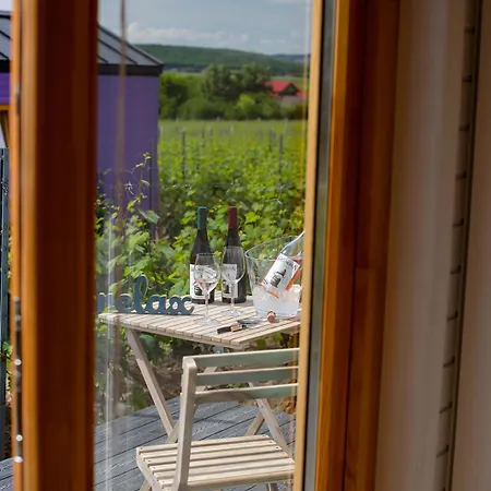Guest house Tiny House In The Vineyard By Gramofon Wine