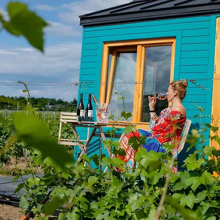 Guest house Tiny House In The Vineyard By Gramofon Wine Iordachianu
