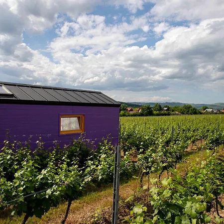 Tiny House In The Vineyard By Gramofon Wine *