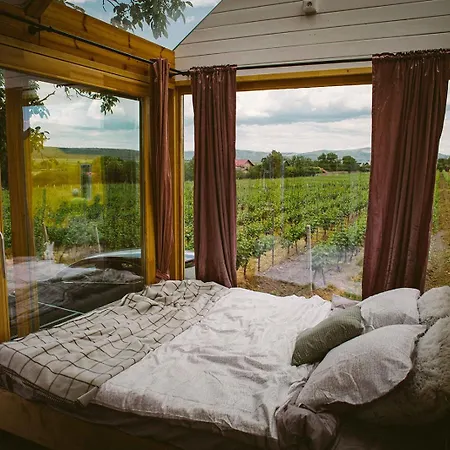 Tiny House In The Vineyard By Gramofon Wine Guest house Iordachianu